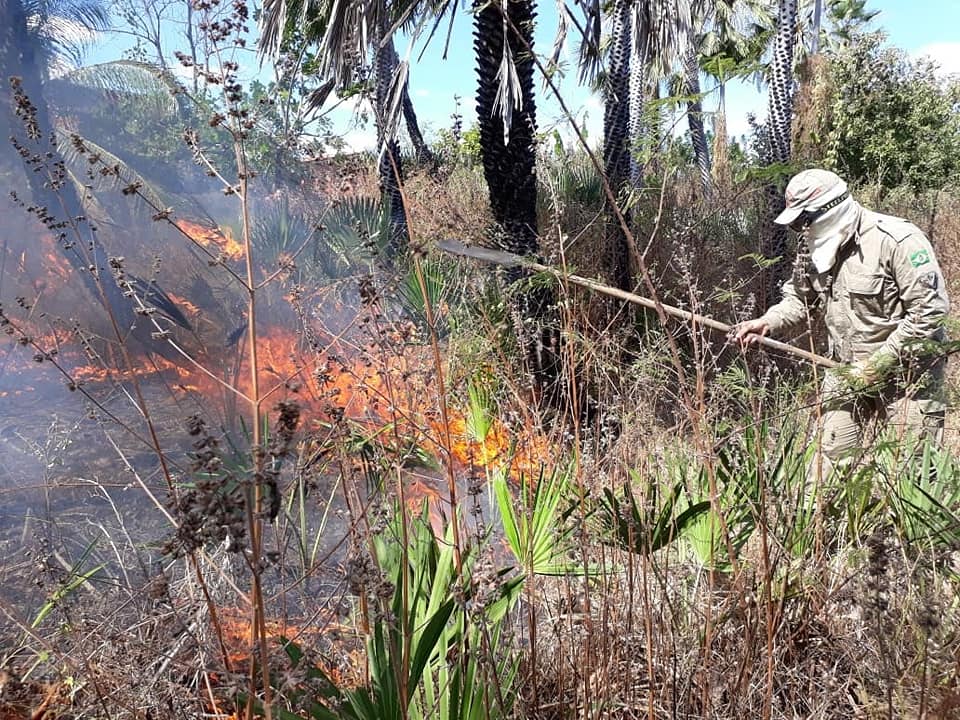 Incêndios assustam moradores de São João do Jaguaribe e Limoeiro do Norte.